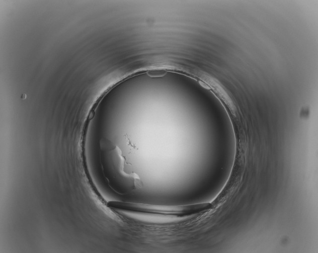 X0000094380805200711091600
