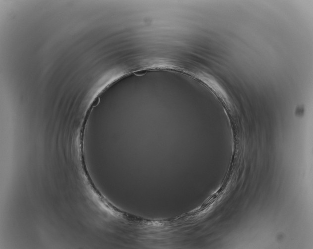 X0000094380806200711091600