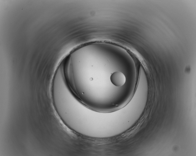 X0000094380807200711091600