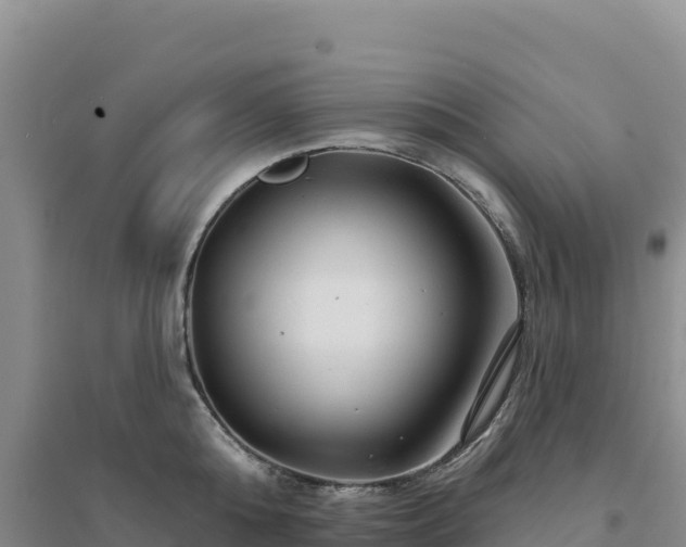 X0000094380808200711091600