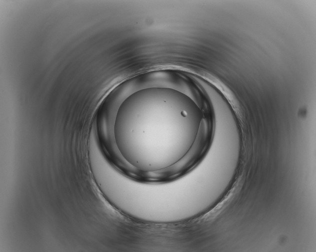 X0000094380809200711091600
