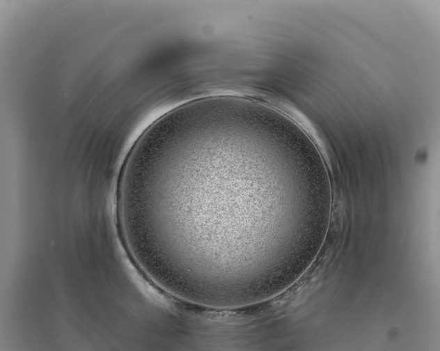 X0000094380811200711091600