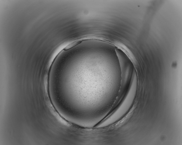 X0000094380812200711091600