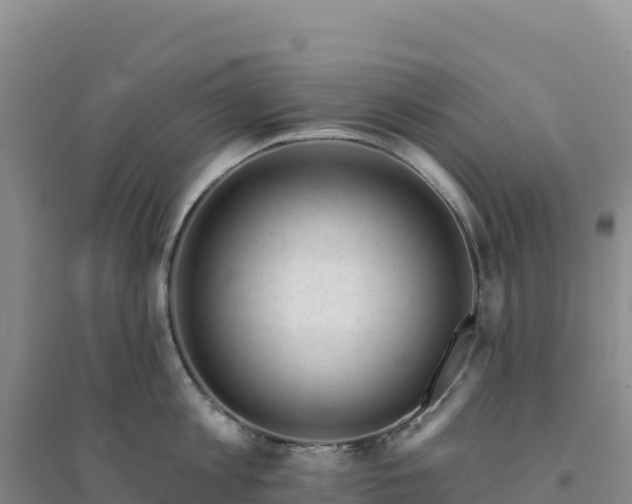 X0000094380813200711091600