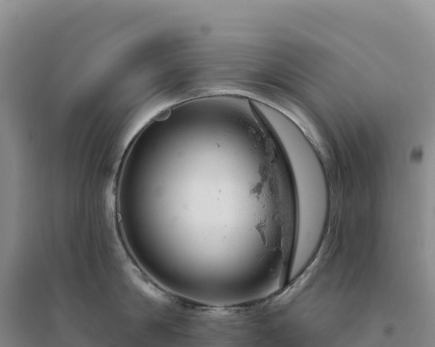 X0000094380814200711091600