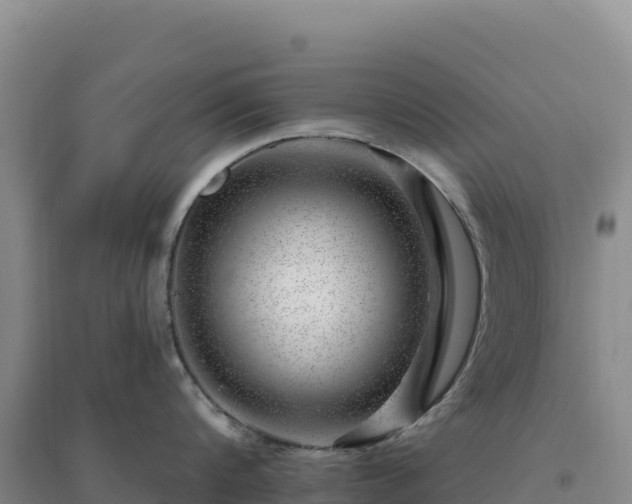 X0000094380816200711091600