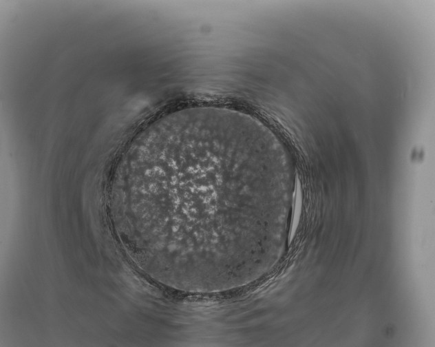X0000094380817200711091559