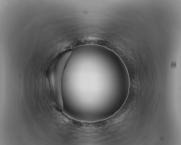 X0000094380818200711091559
