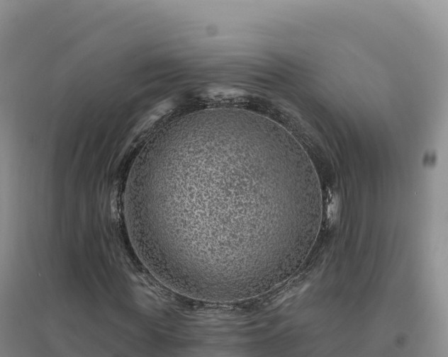X0000094380819200711091559