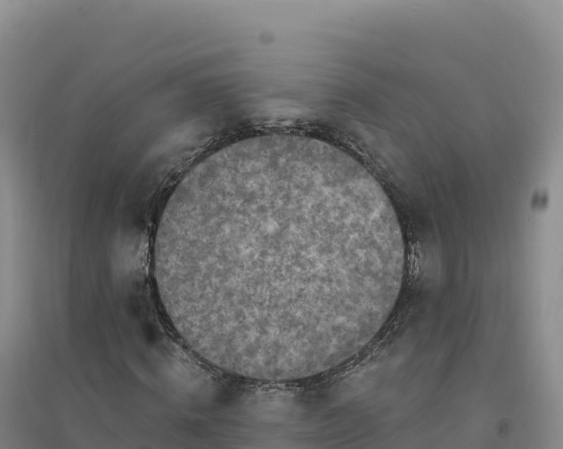 X0000094380820200711091559