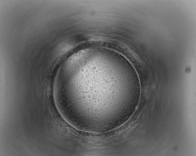 X0000094380821200711091559