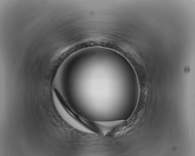 X0000094380822200711091559