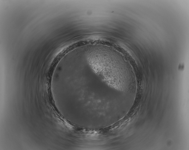 X0000094380823200711091559