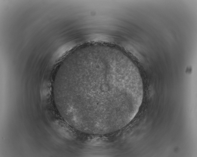 X0000094380824200711091559
