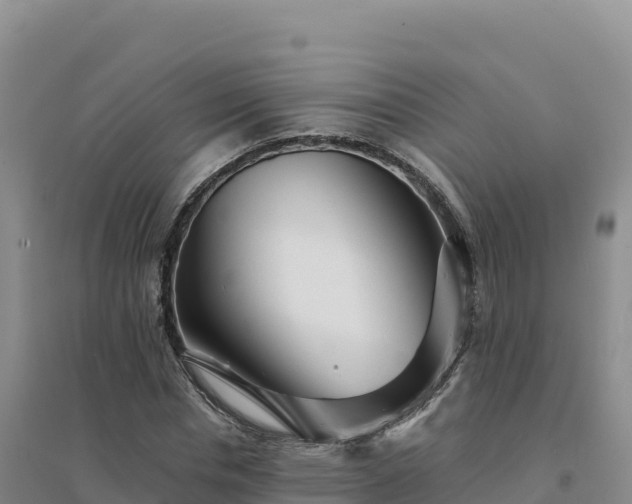 X0000094380826200711091559