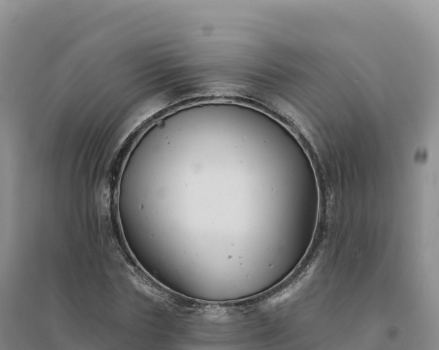 X0000094380827200711091559