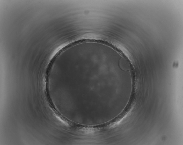 X0000094380829200711091559