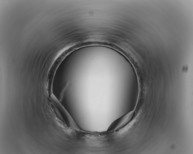 X0000094380830200711091559