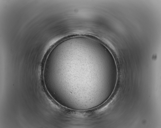 X0000094380831200711091559