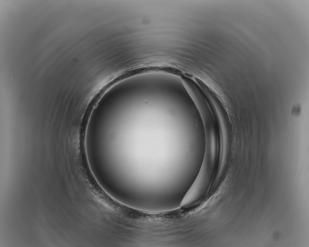 X0000094380834200711091559