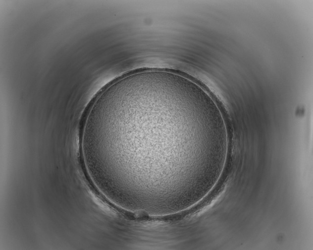 X0000094380837200711091559