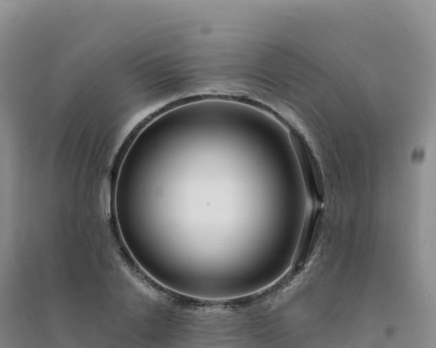 X0000094380838200711091559