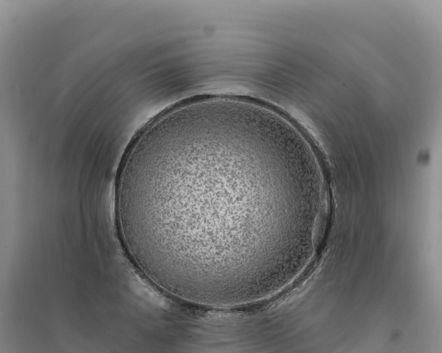 X0000094380840200711091559