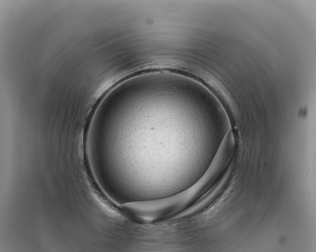 X0000094380842200711091559