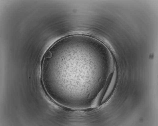 X0000094380844200711091559