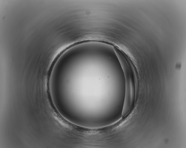 X0000094380846200711091559