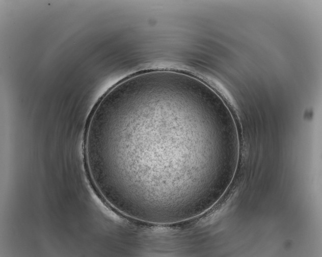 X0000094380847200711091600