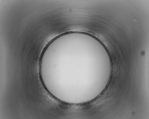 X0000094380848200711091600