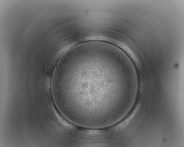 X0000094380849200711091600