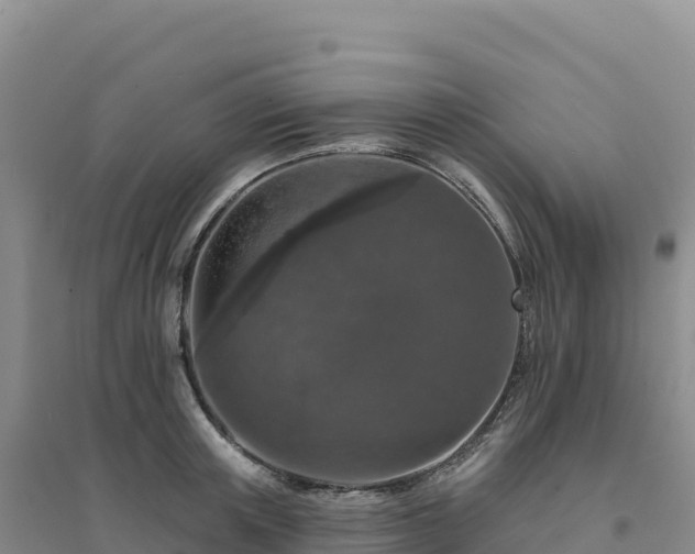 X0000094380851200711091600