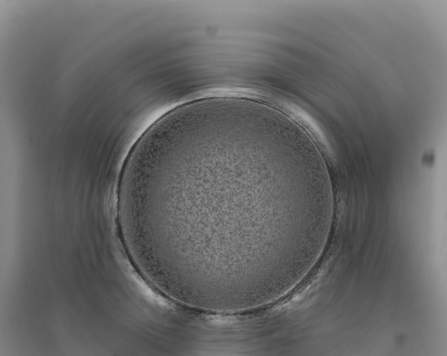 X0000094380852200711091600