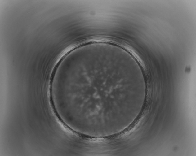 X0000094380853200711091600