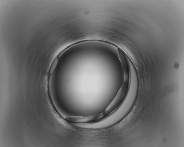 X0000094380854200711091600