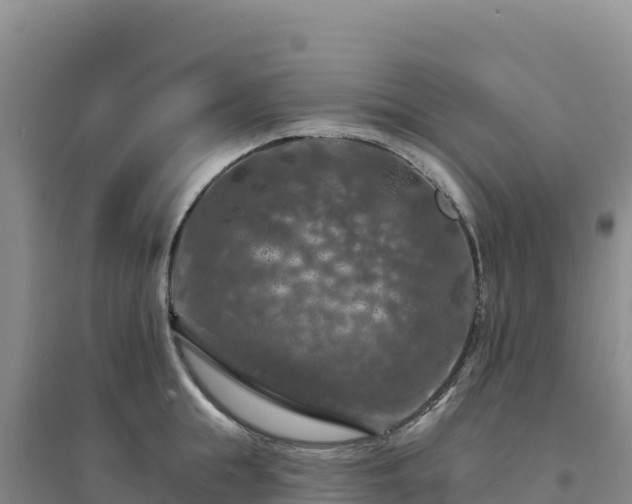 X0000094380855200711091600