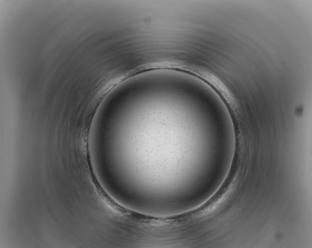 X0000094380857200711091600