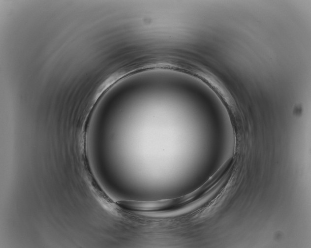 X0000094380858200711091600