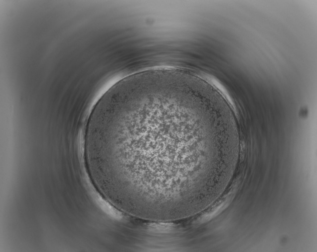 X0000094380859200711091600