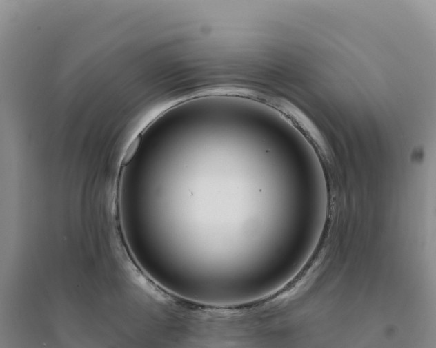 X0000094380860200711091600