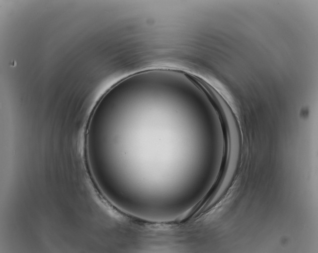 X0000094380862200711091600