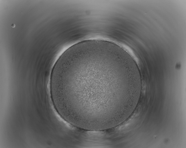 X0000094380863200711091600