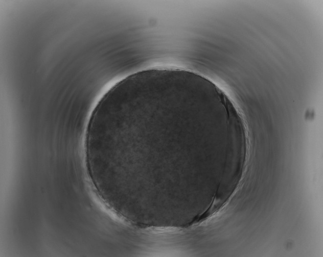 X0000094380864200711091600