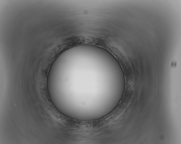 X0000094380865200711091559
