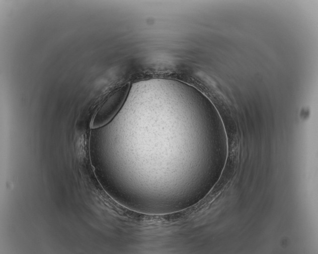 X0000094380866200711091559