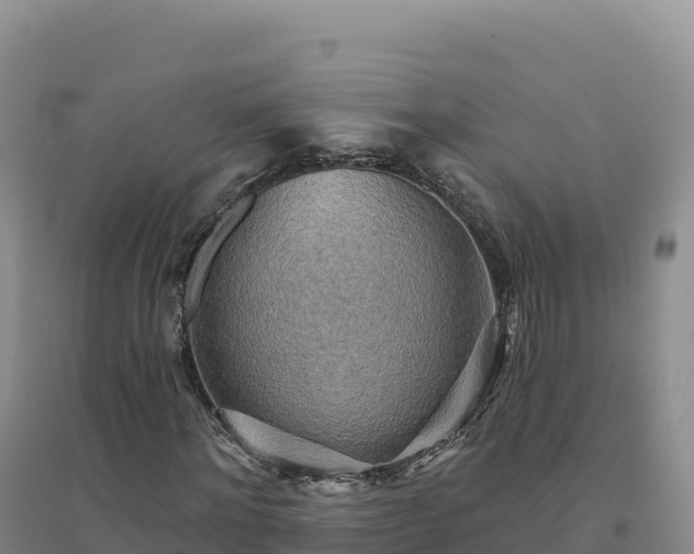 X0000094380868200711091559