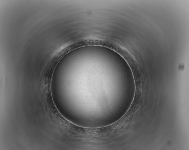 X0000094380870200711091559