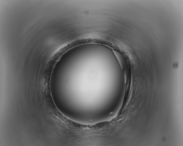 X0000094380872200711091559